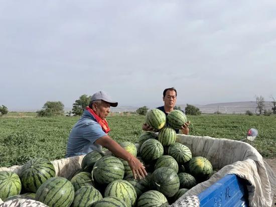 天天吃瓜 网红骨科,揭秘“天天吃瓜”背后的医疗奇迹  第1张