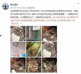 中实学校爆料事件视频,视频揭露惊人真相